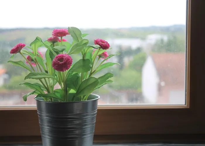 Maria Violeta Tourism *